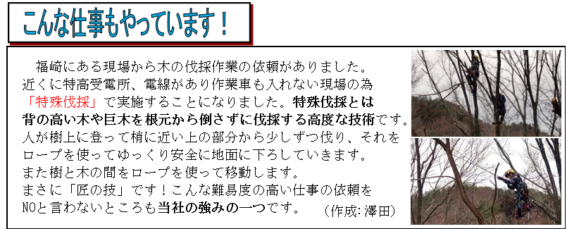 スクリーンショット 2024-03-31 211401